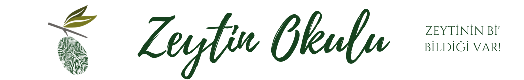 Zeytin Okulu