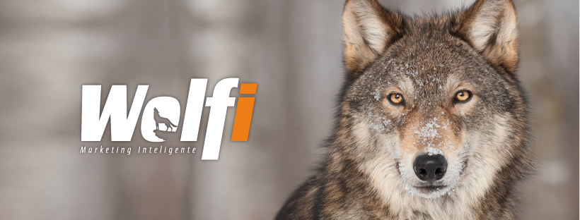Agência Wolfi