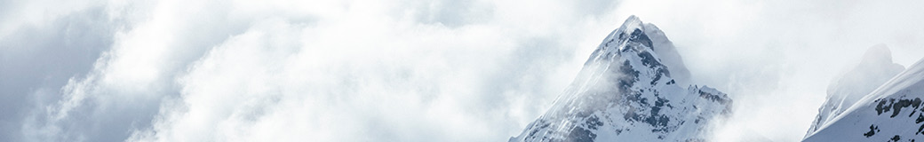 Atomic Austria GmbH