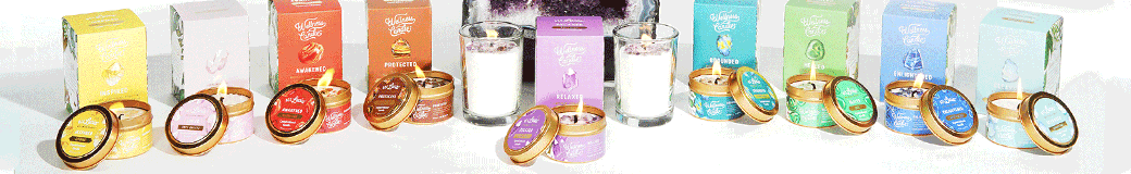Bee Lucia Wellness Co.