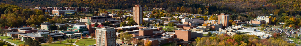 Binghamton University
