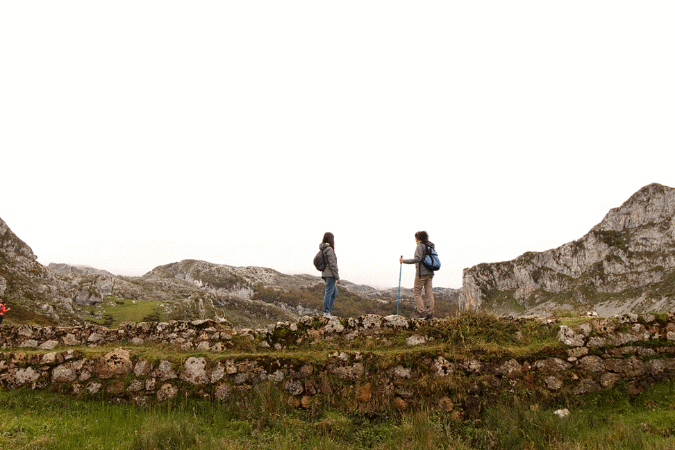 Borealis on trekking