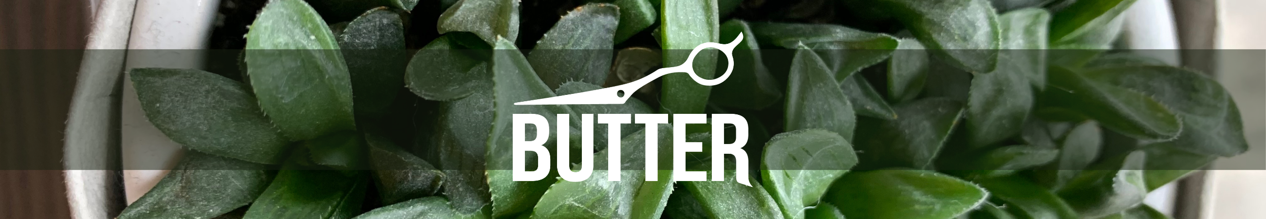 Butter Hair & Co.
