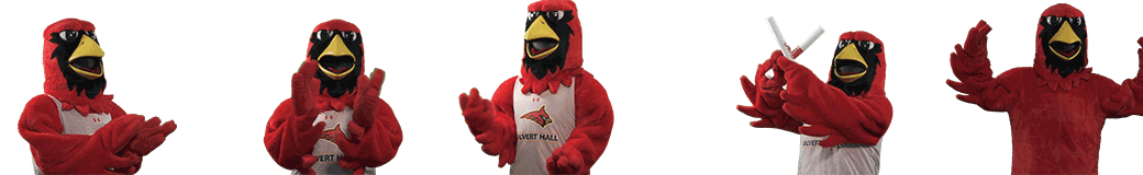 Calvert Hall College High School