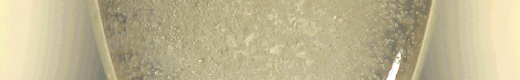 Champagne Bureau, USA