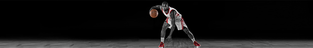 Chris Paul, NBA Point Guard