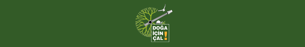 Dogaicincal