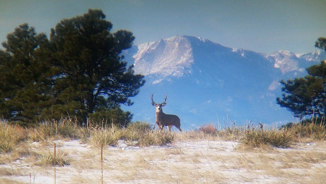 Drive Pikes Peak