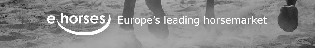 ehorses GmbH & Co. KG