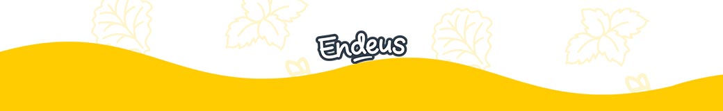 Endeus TV