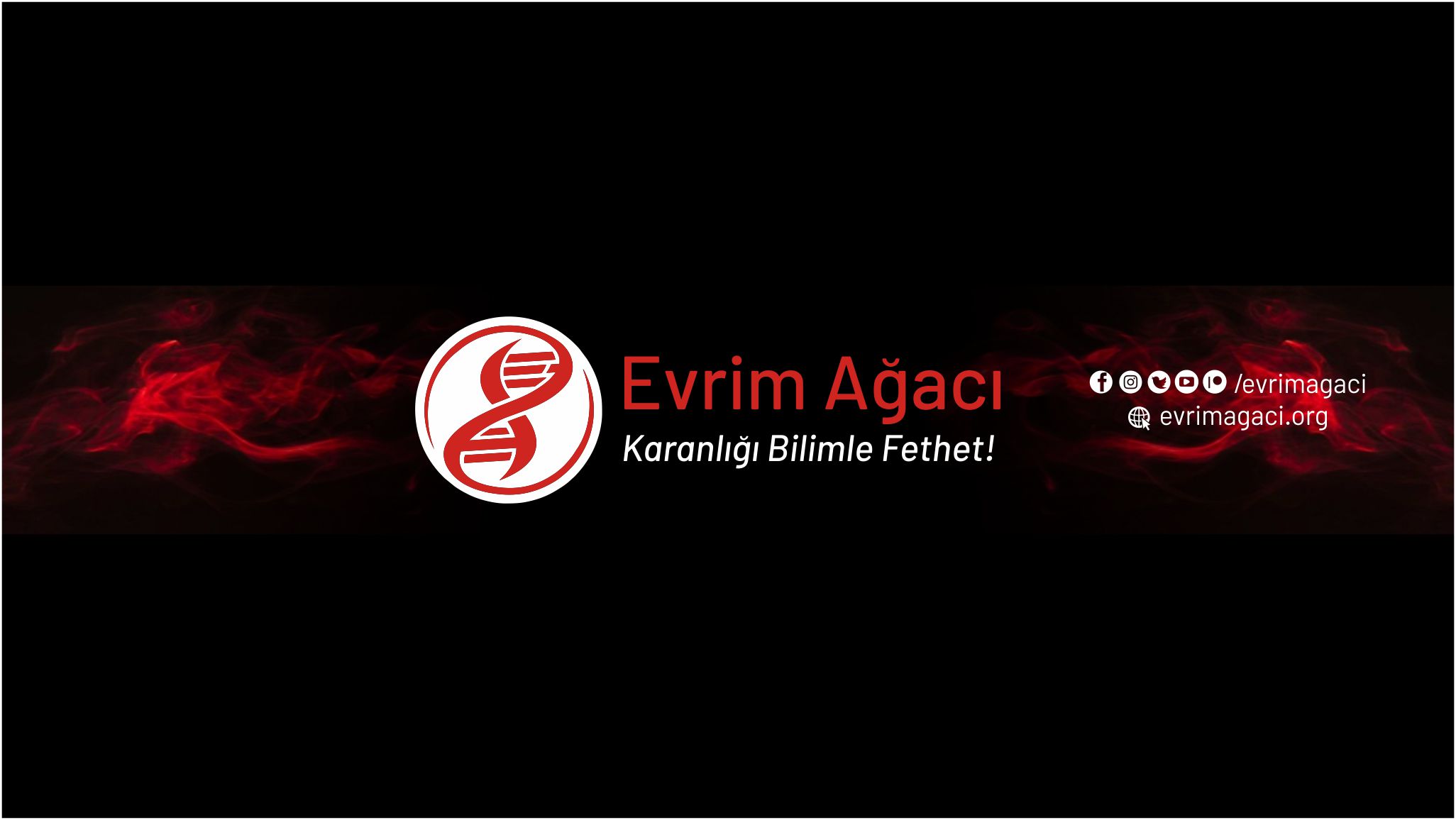 Evrim Ağacı