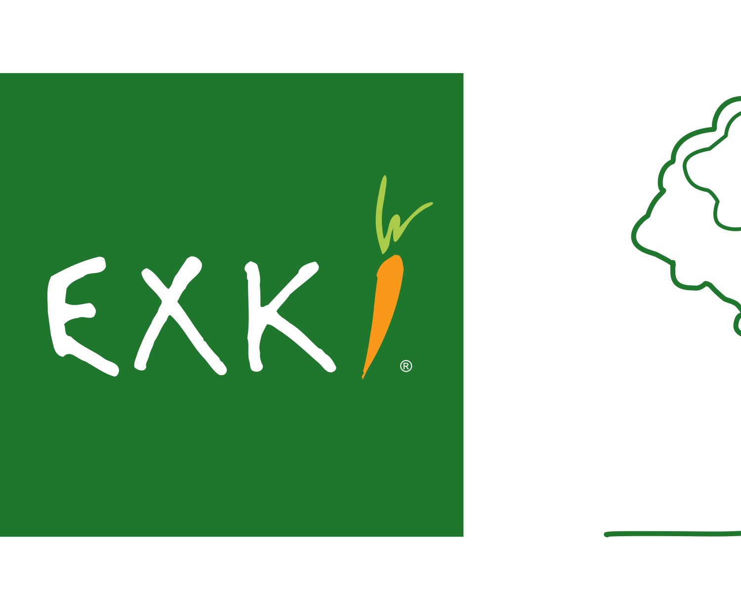 EXKi