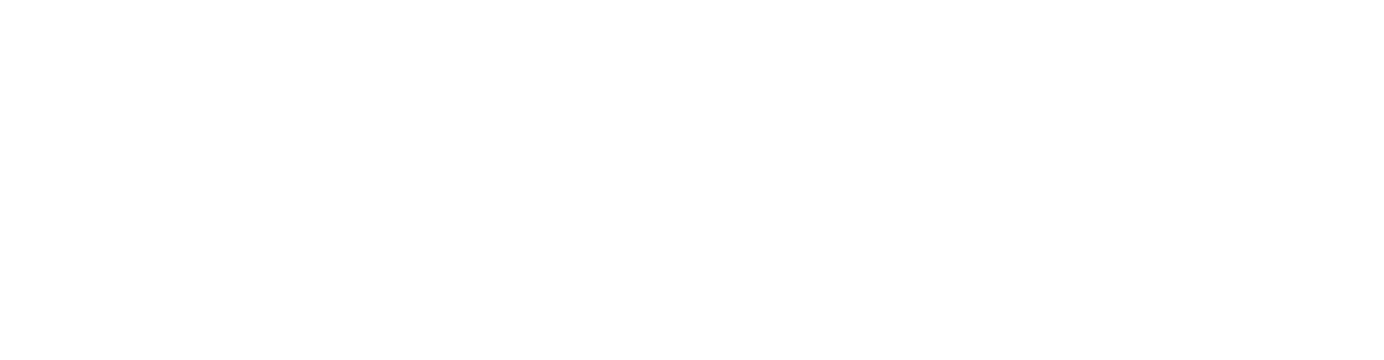 Flexiroam
