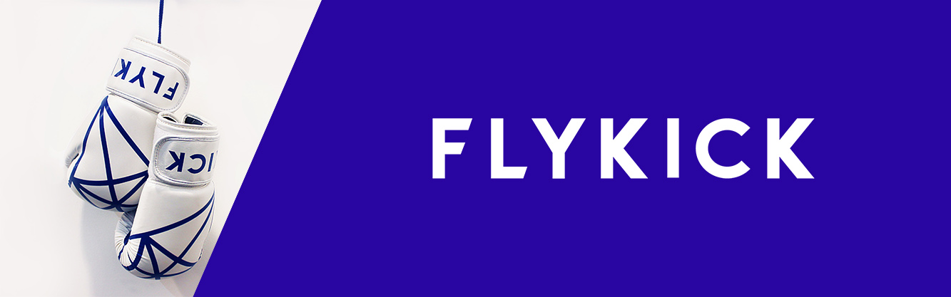 Flykick