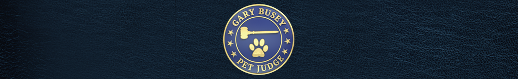 Gary Busey: Pet Judge