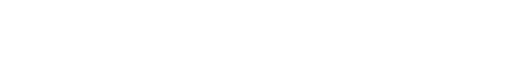 The Heidelberg Model United Nations Society