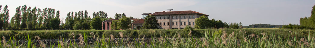 H-FARM