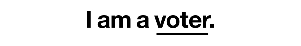 I am a voter.