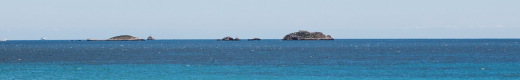 Island Hospitality