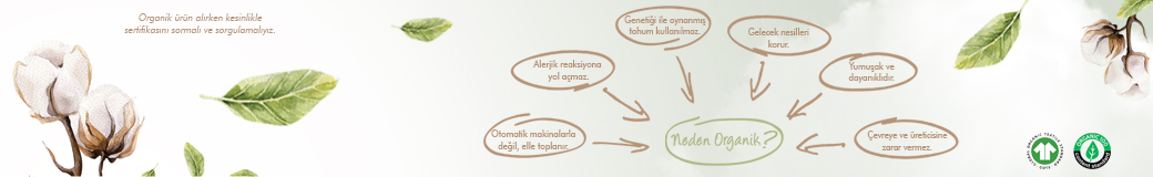 kitikatetr