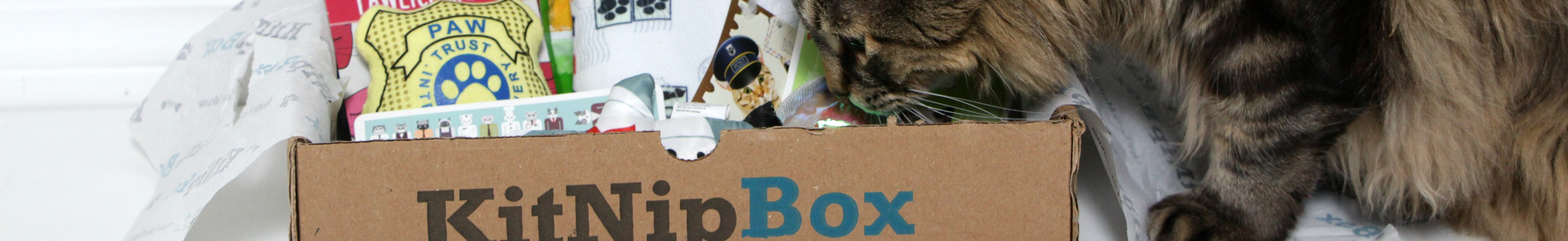 KitNipBox