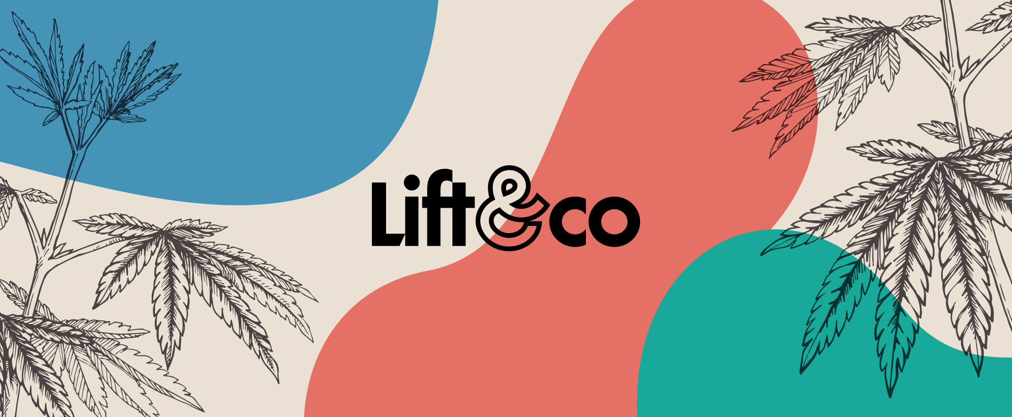 Lift & Co.