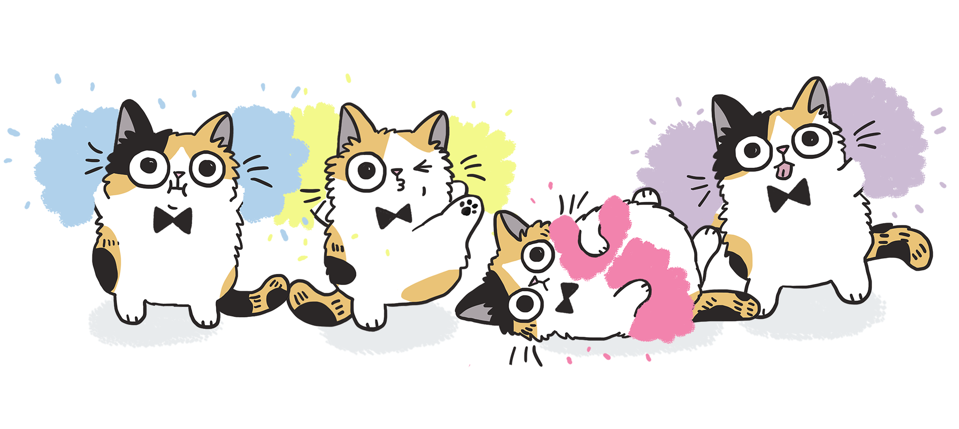 meowbox