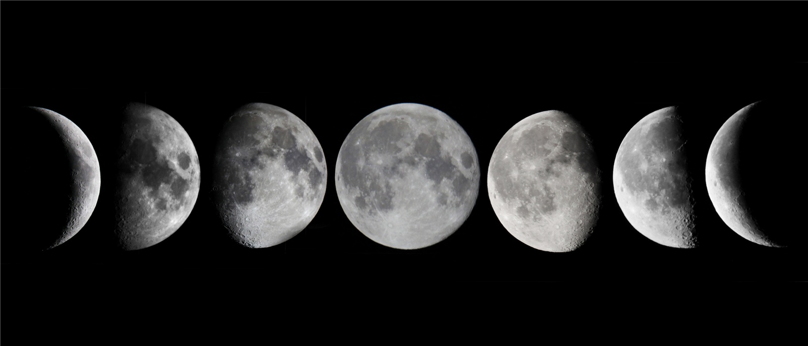 moon mandalas app