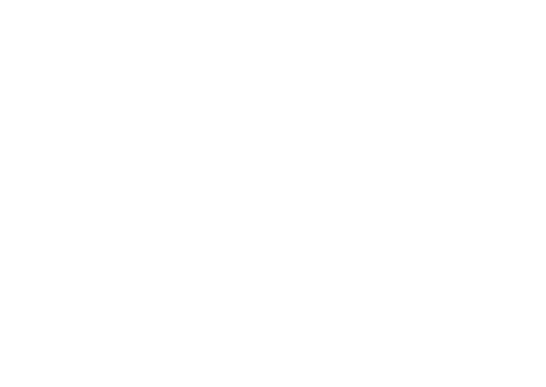 nodeflux