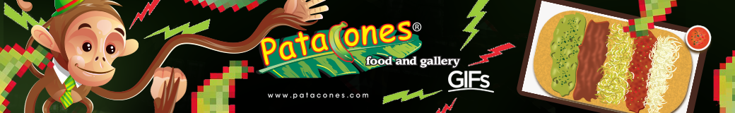 Patacones food and gallery