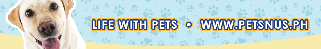 Pets 'N Us Official