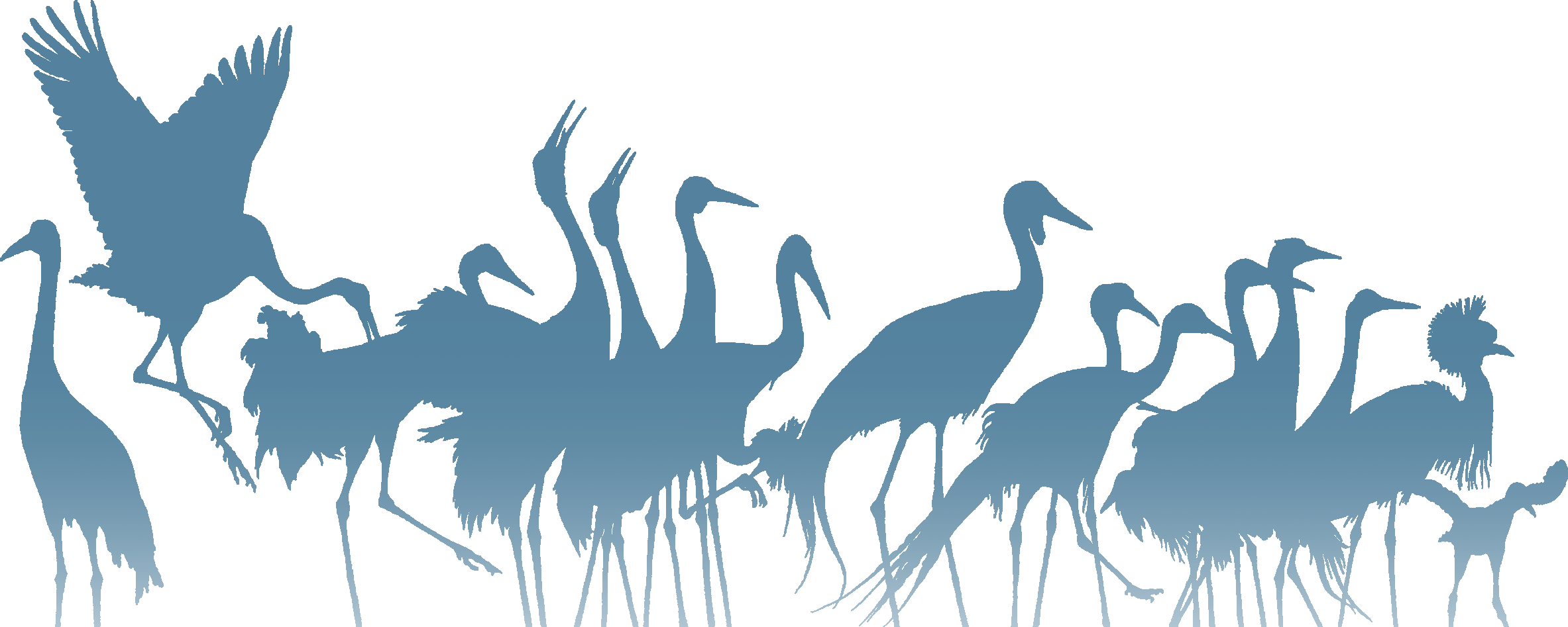 International Crane Foundation