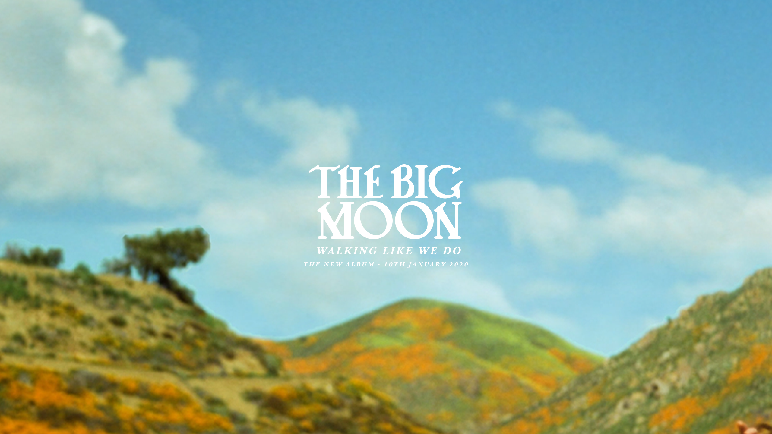 The Big Moon