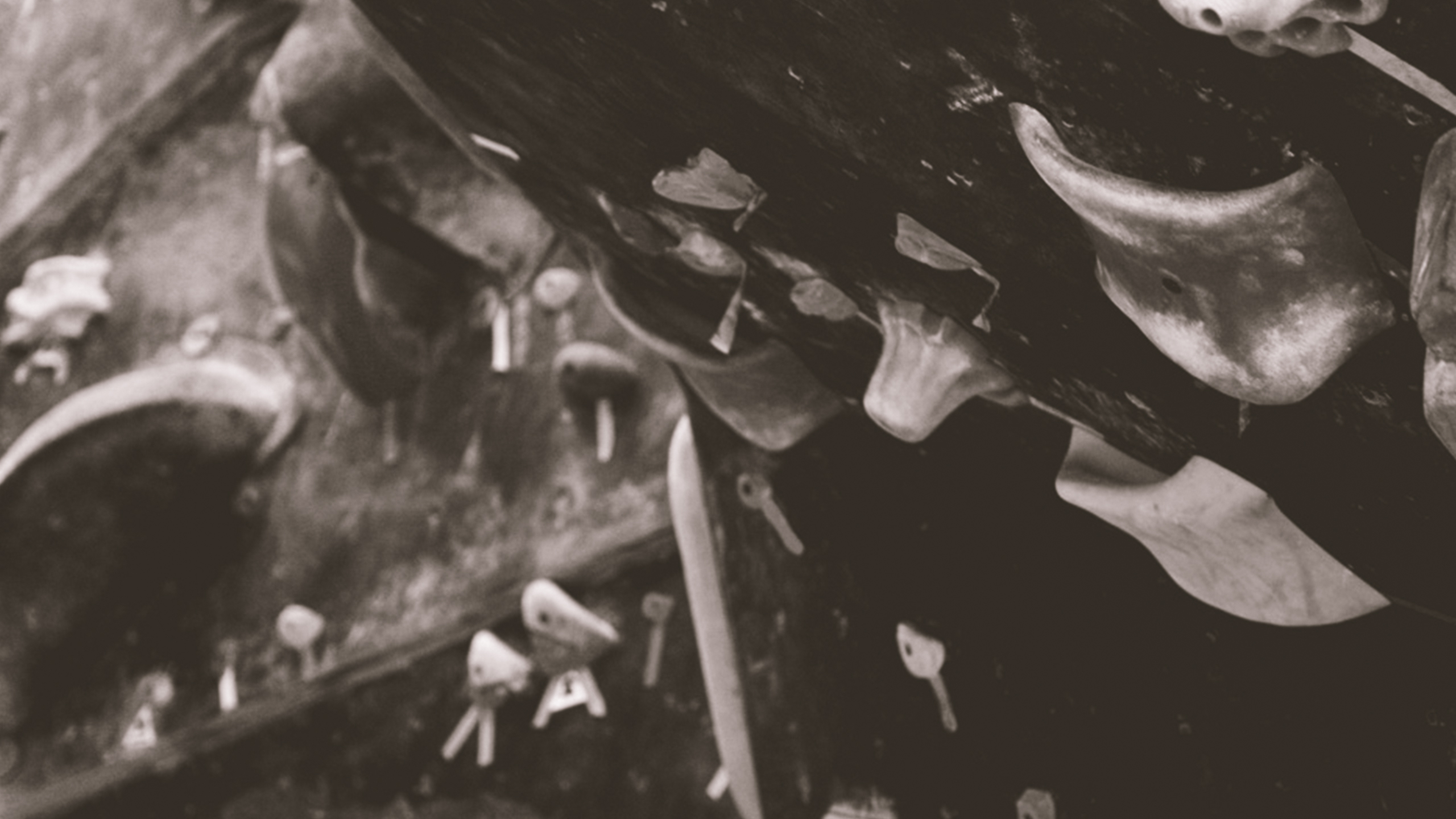 The Circuit Bouldering Gym