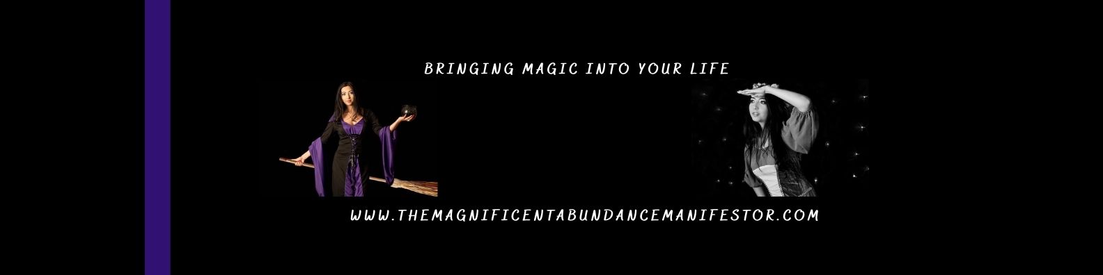 The Magnificent Abundance Manifestor