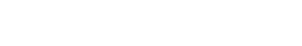 Todeschini Guarapuava