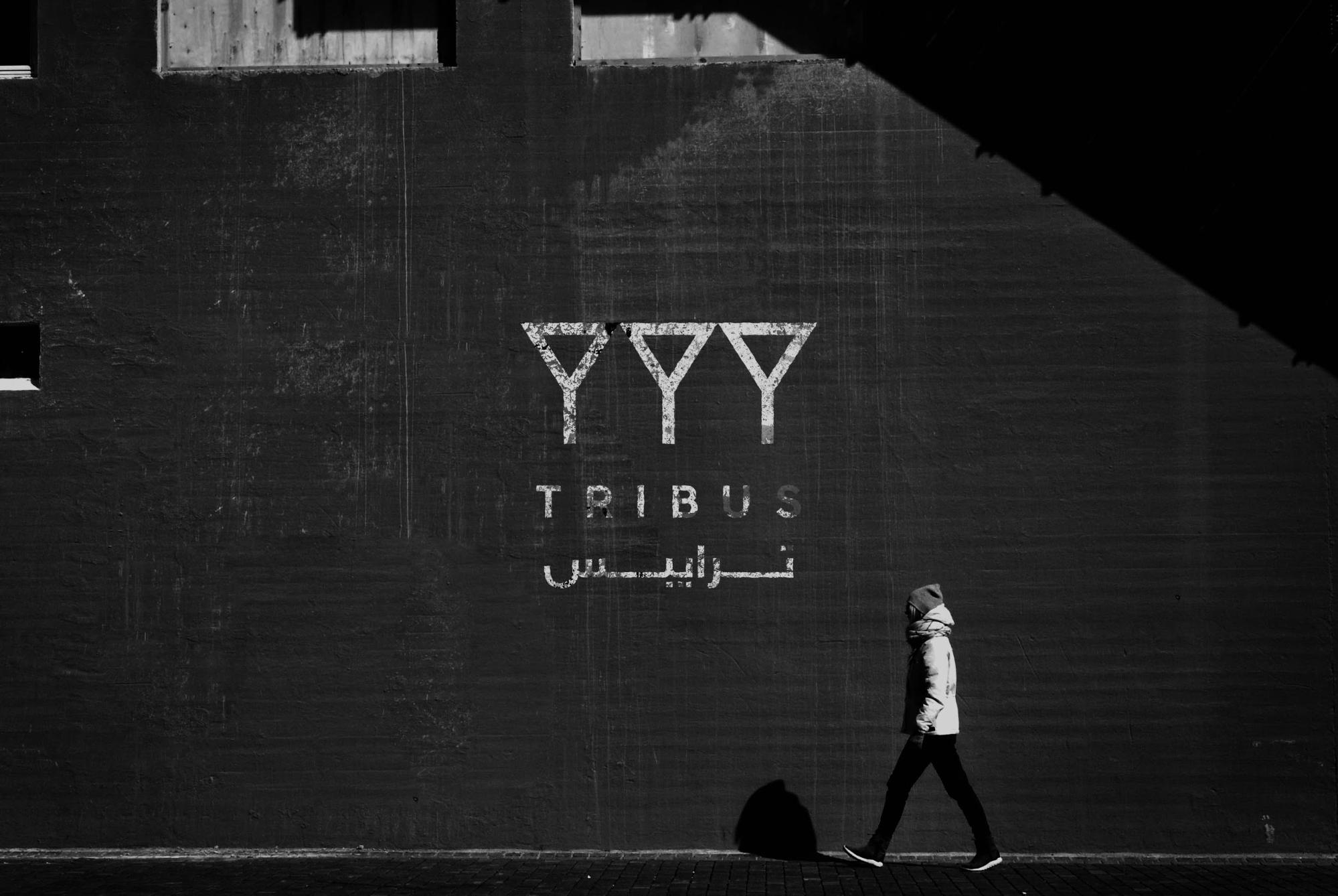 Tribus