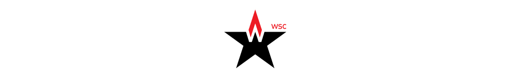 Web Stars Channel