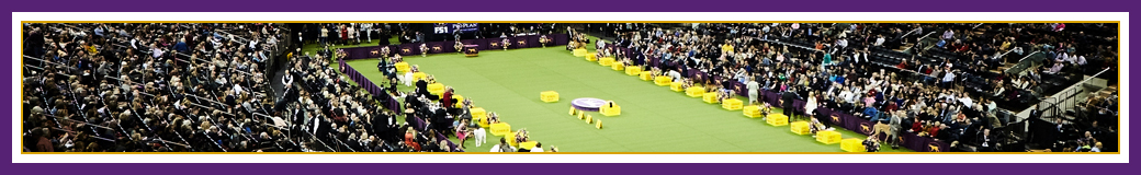 Westminster Kennel Club