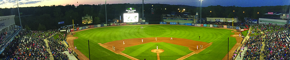 West Michigan Whitecaps 