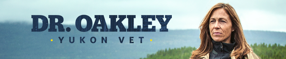 Dr. Oakley, Yukon Vet