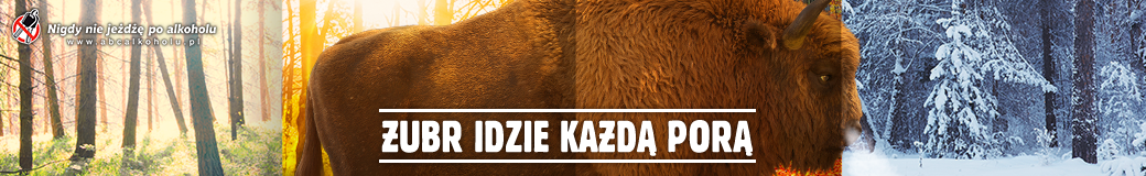 Zubr