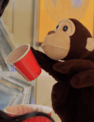 giphy.gif