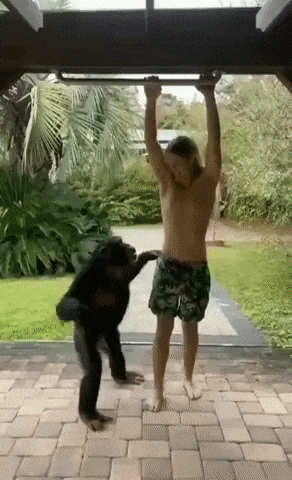 Playing with frens in funny gifs