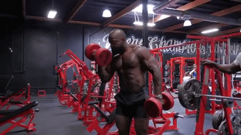 Mike Rashid Bicep curls