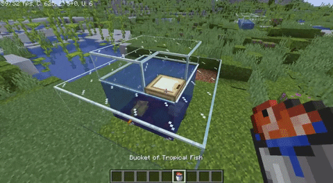 Minecraft .  How to Feed Axolotls