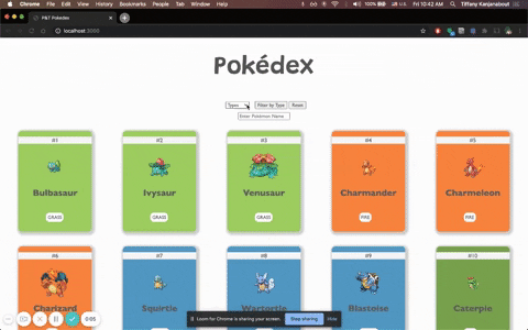 Filter by Type Feature