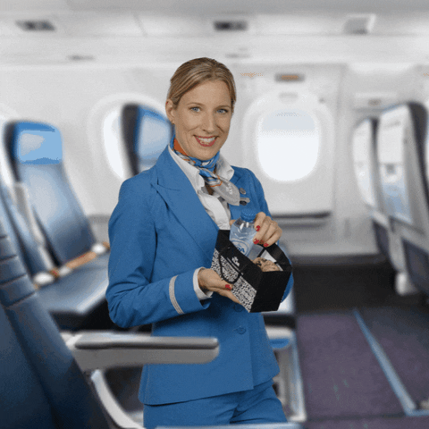 Cabin Crew Food GIF by KLM - Find & Share on GIPHY