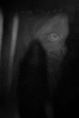 Immagine di Jameliee