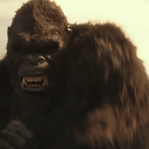Godzilla vs. Kong GIF